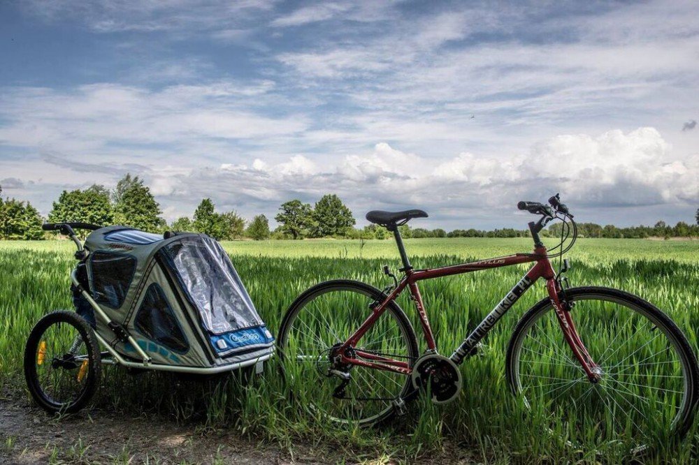 Fahrradanhänger für Kinderfahrrad Test Zusammenfassung + Vergleich 🚲📰